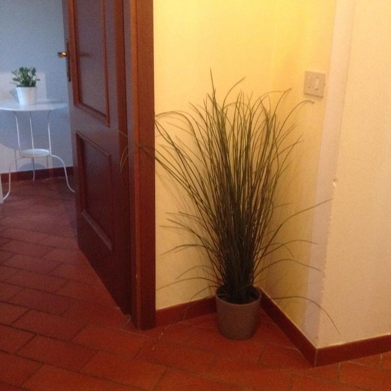 Tuscany House Centro Citta Διαμέρισμα Πίζα Εξωτερικό φωτογραφία